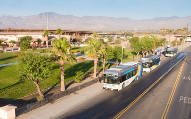 Sunline Reducing SunBus Service Due To Bus Driver Shortage