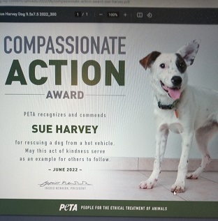 Local Resident Gets PETA Award For Saving Dog’s Life