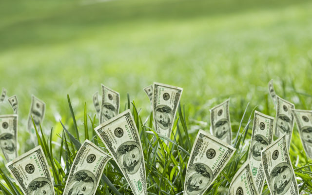 Trade In Your Lawn For $$$; Rancho Mirage Reviewing Turf Rebate Program